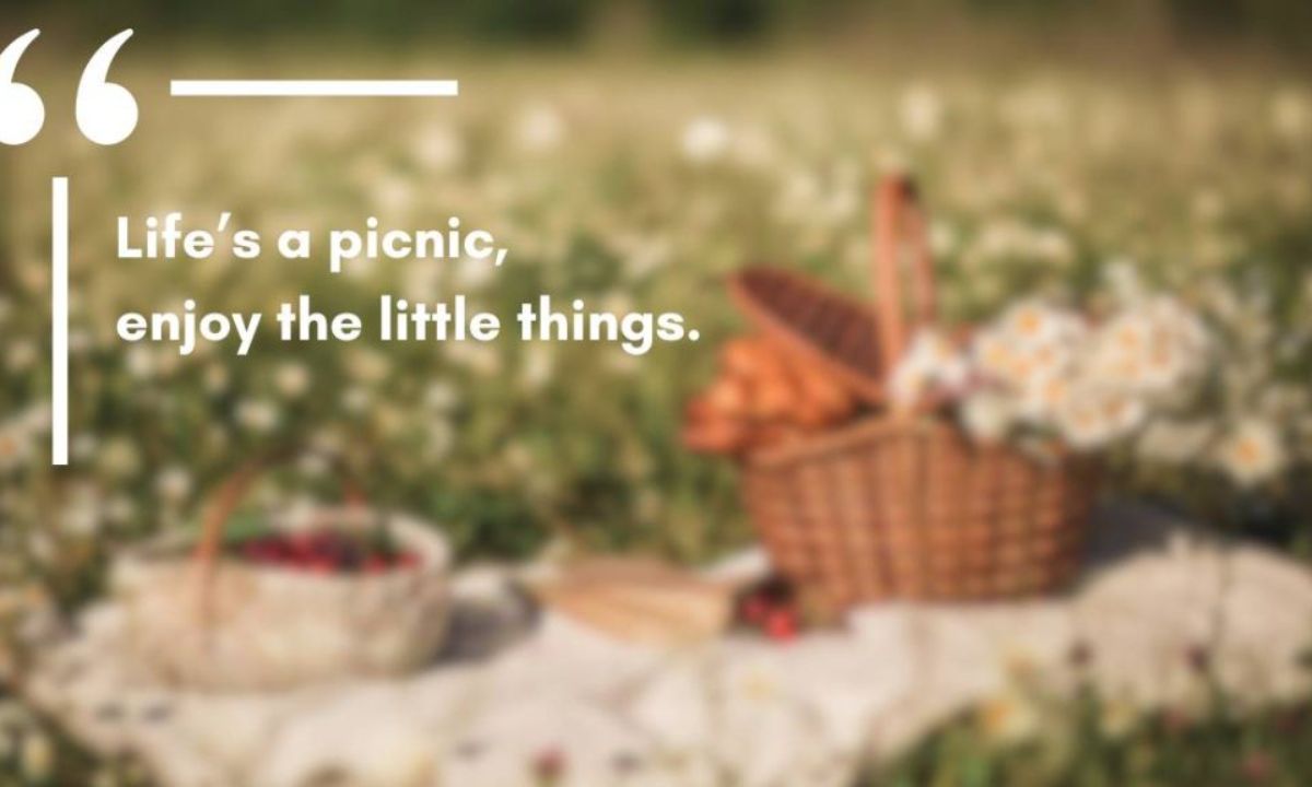 300+ Picnic Puns That’ll Make Your Day Brighter and Your Smiles Bigger