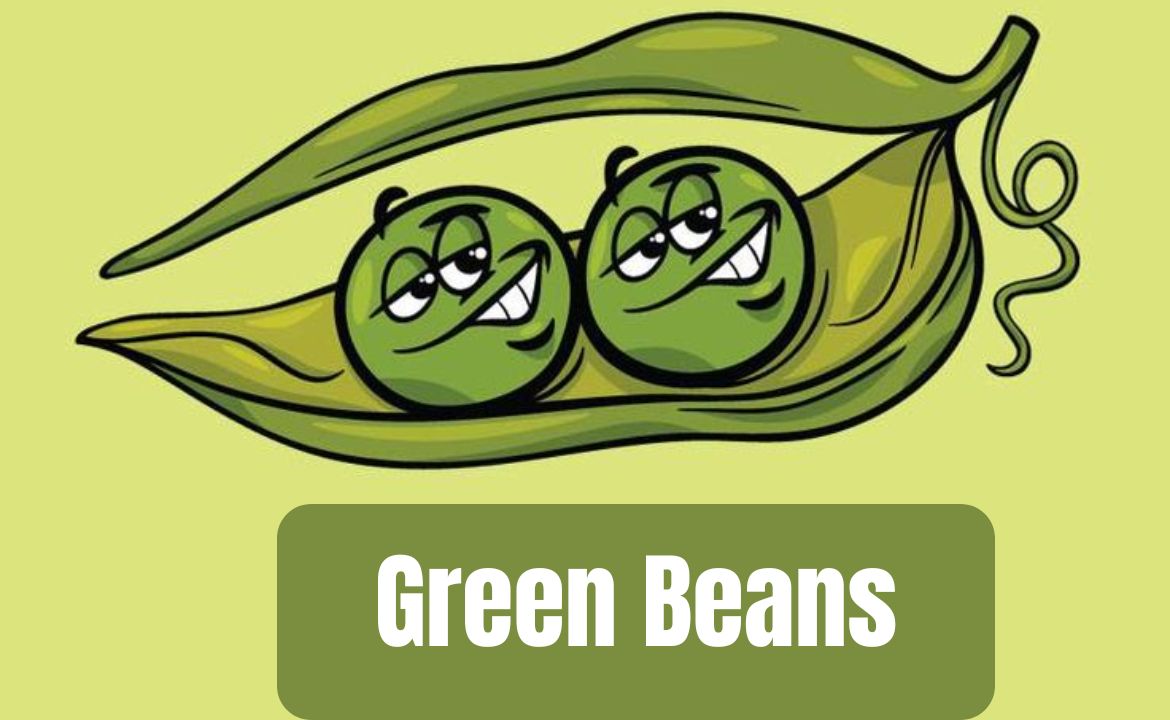 300+ Green Beans Puns to Make You Laugh and Grow