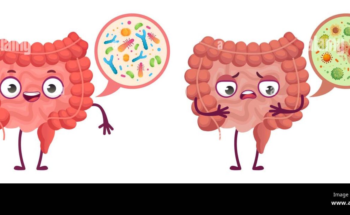 250+ Gut-Busting Digestive System Puns to Tickle Your Funny Bone